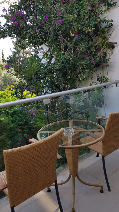 Zimmer Caravia Beach Hotel
