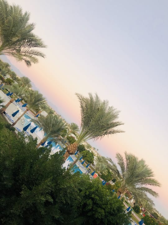 Ausblick Desert Rose