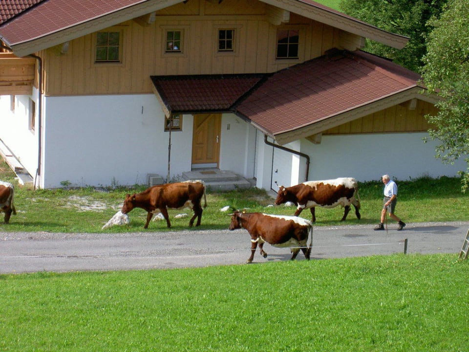 Ländliche Morgenidylle Bio- und Kräuterbauernhof Leiten (Leitenbauer)