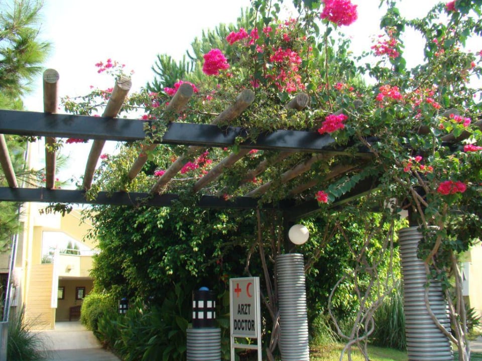 Joy pegasos world AQI Pegasos World