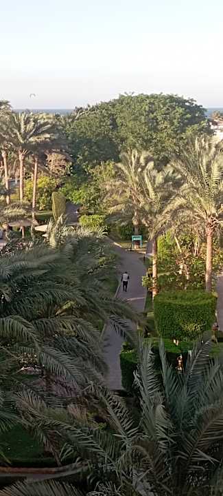 Gartenanlage Golden Beach Resort