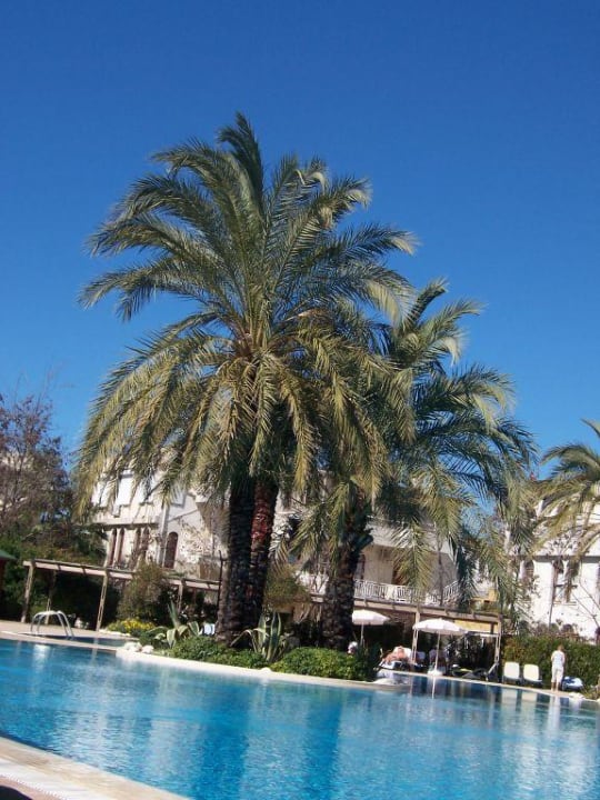 Poolanalage Side Star Elegance