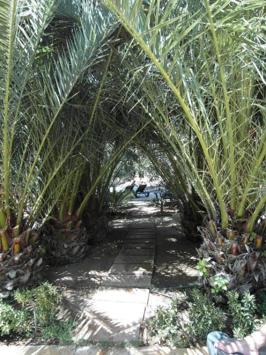 Zugewucherter Weg mit Gefahr für die Augen Lago Garden