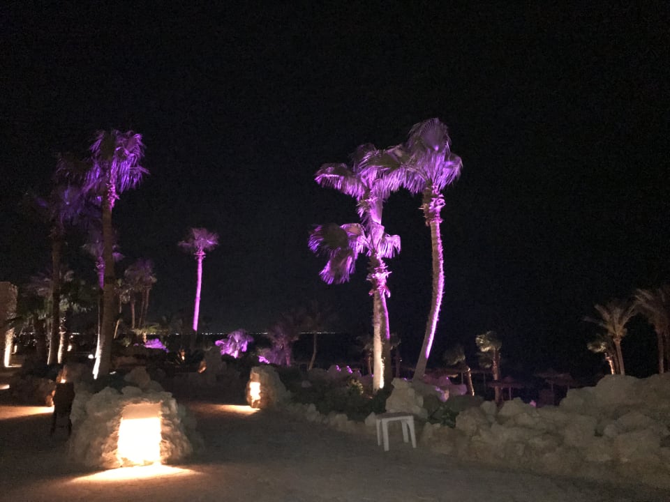 Garten Pickalbatros Citadel Resort