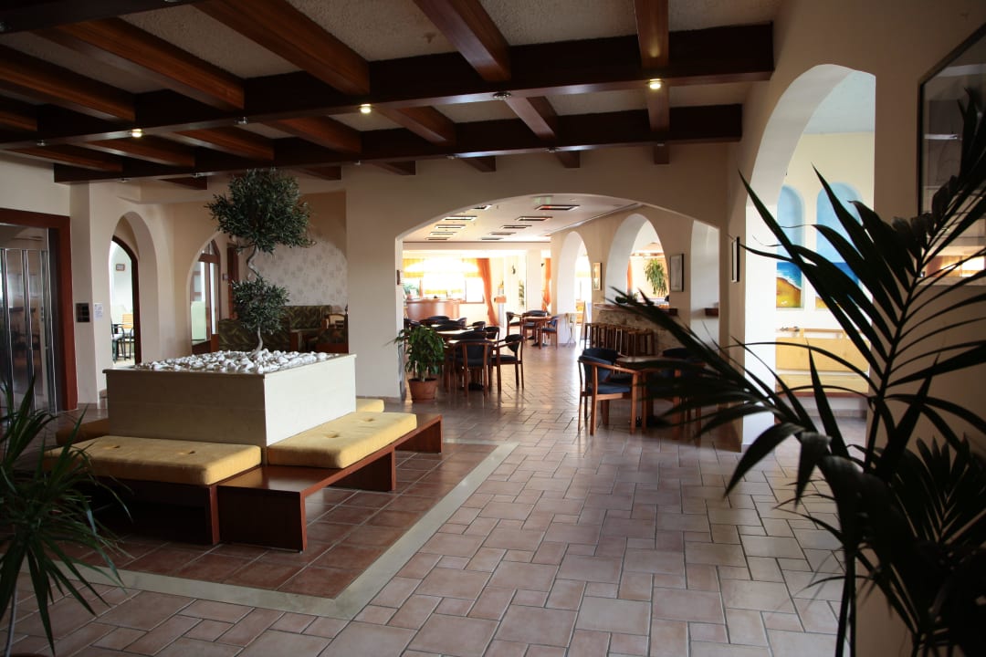 Nett gestaltet Alianthos Garden Hotel