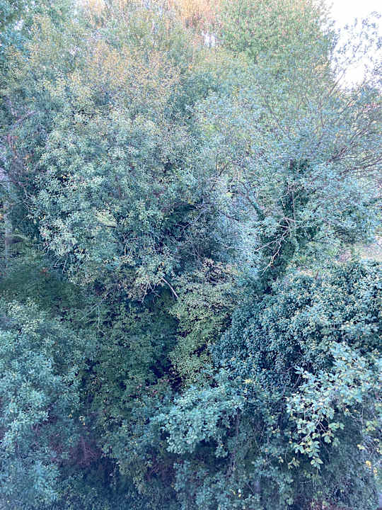 Außenansicht Best Western Plaza Hotel Zwickau