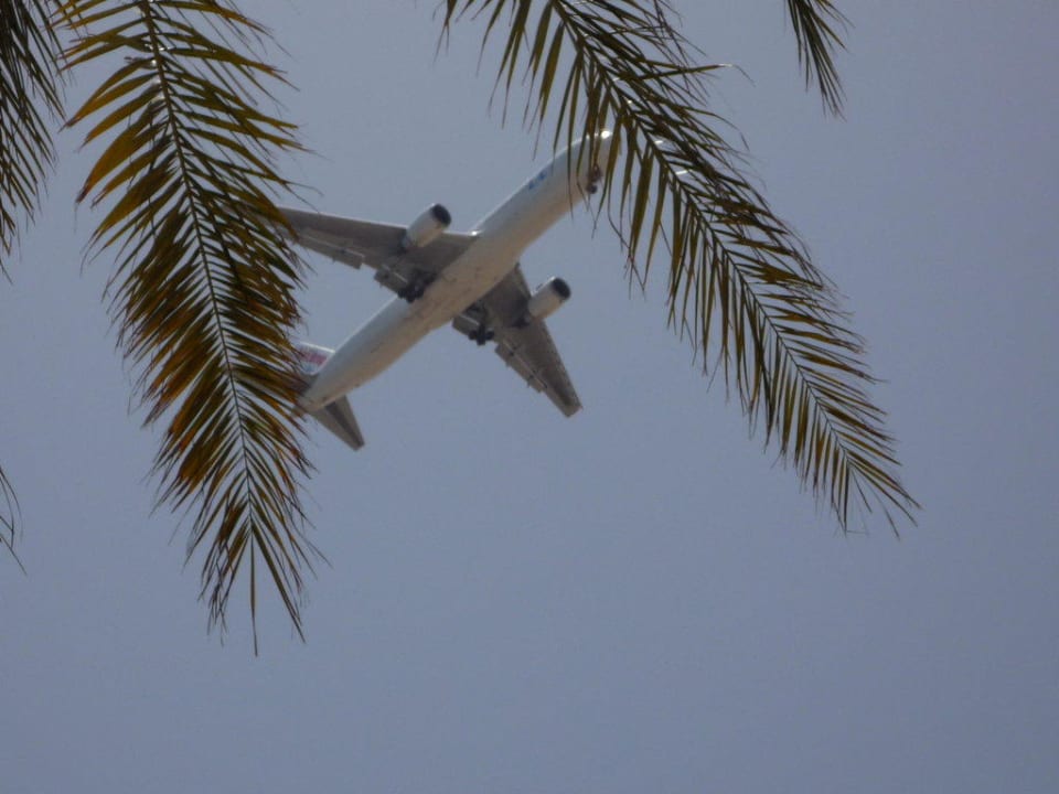 Flieger über Hotel Elba Carlota Beach & Golf Resort