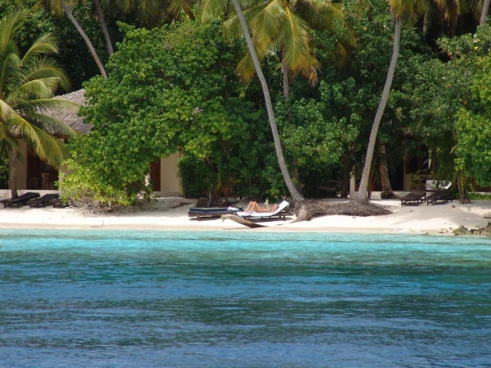 Strand Südseite Vilamendhoo Island Resort & Spa