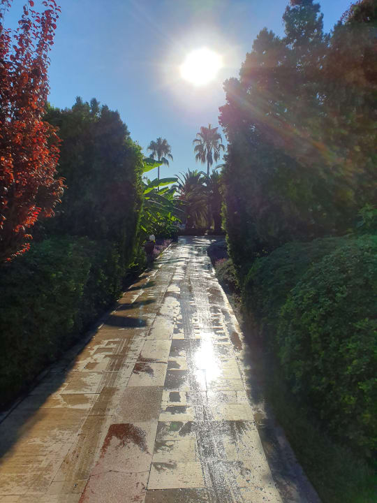 Gartenanlage Sunrise Resort Hotel