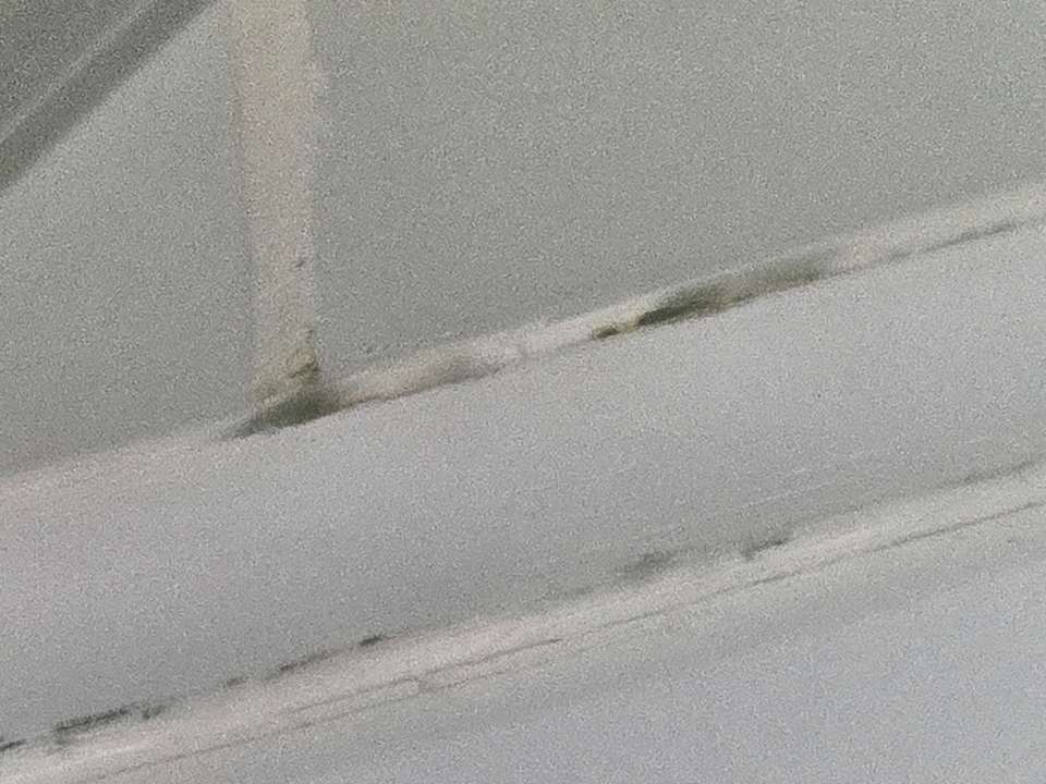 Zimmer BLUESEA Lagos de Cesar