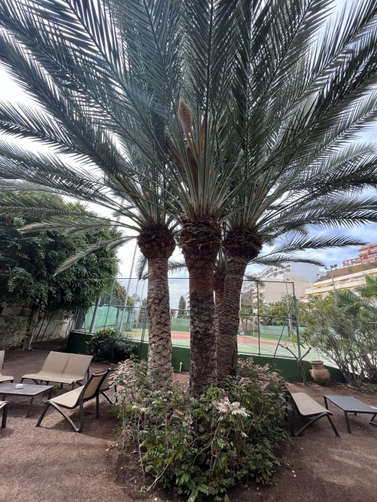 Gartenanlage MUR Hotel Faro Jandia & Spa Fuerteventura