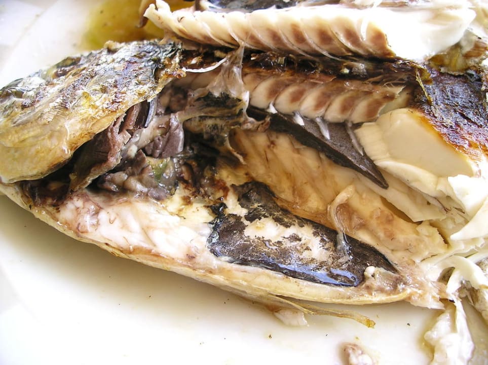 Fisch Grecotel LUXME Kos