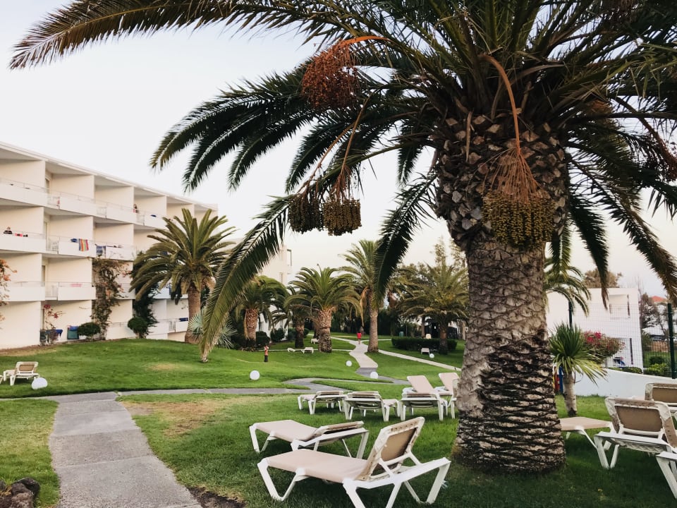 Gartenanlage allsun App.-Hotel Esquinzo Beach
