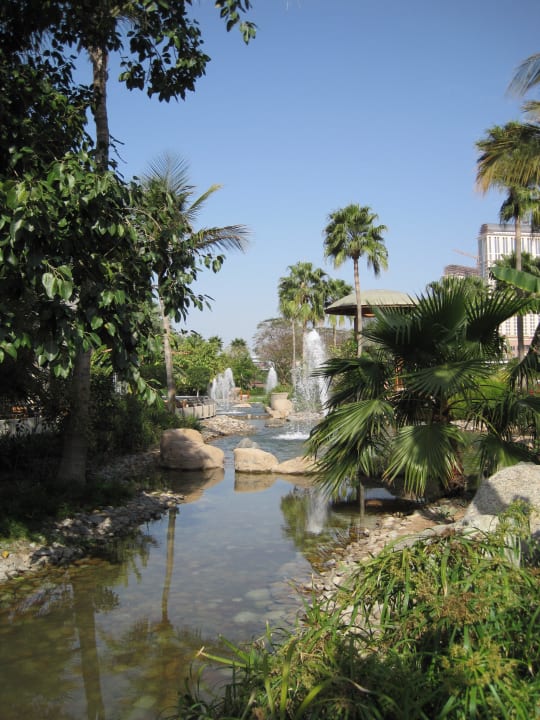 Teich in der Poolanlage Grand Hyatt Dubai
