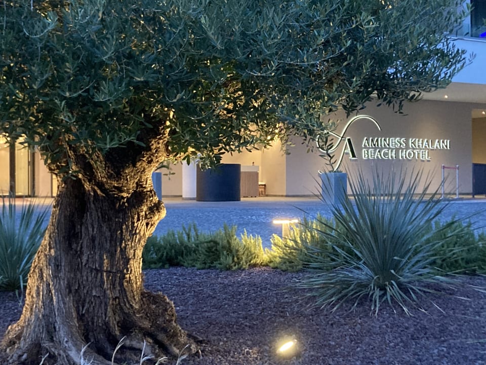 Gartenanlage Aminess Laurel Khalani Hotel