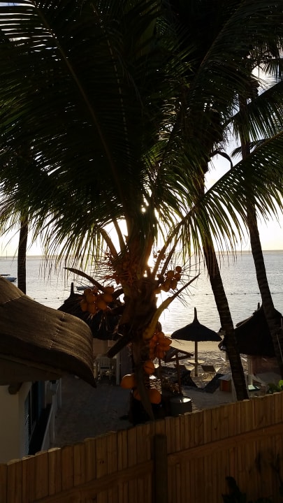 Strand Veranda Palmar Beach Hotel
