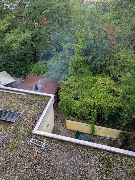 Ausblick Vitalhotel König am Park