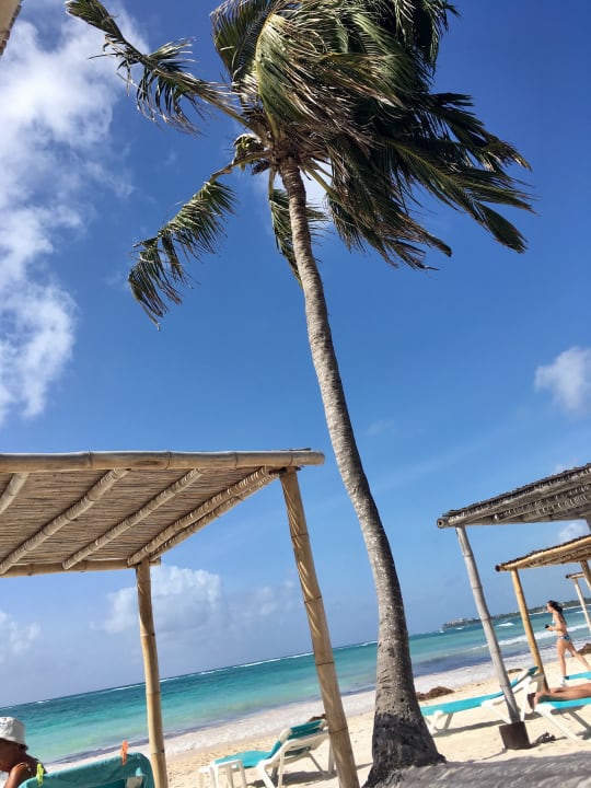 Strand Akumal Bay Beach & Wellness Resort