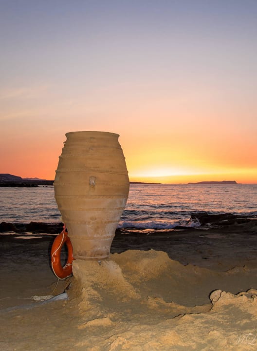 Vase bei Sonnenuntergang allsun Hotel Carolina Mare