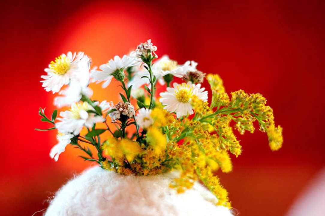 Die Höchsterhütte - Rifugio Canziani Höchsterhütte am Grünsee