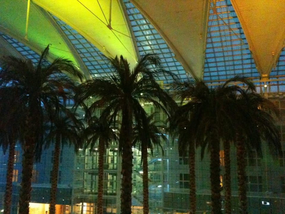 Palmen in der Lobby Hilton Munich Airport