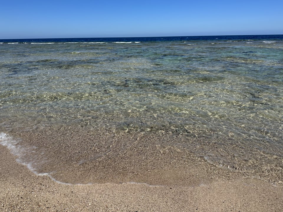 Strand Steigenberger Resort Alaya Marsa Alam - Red Sea - Adults only
