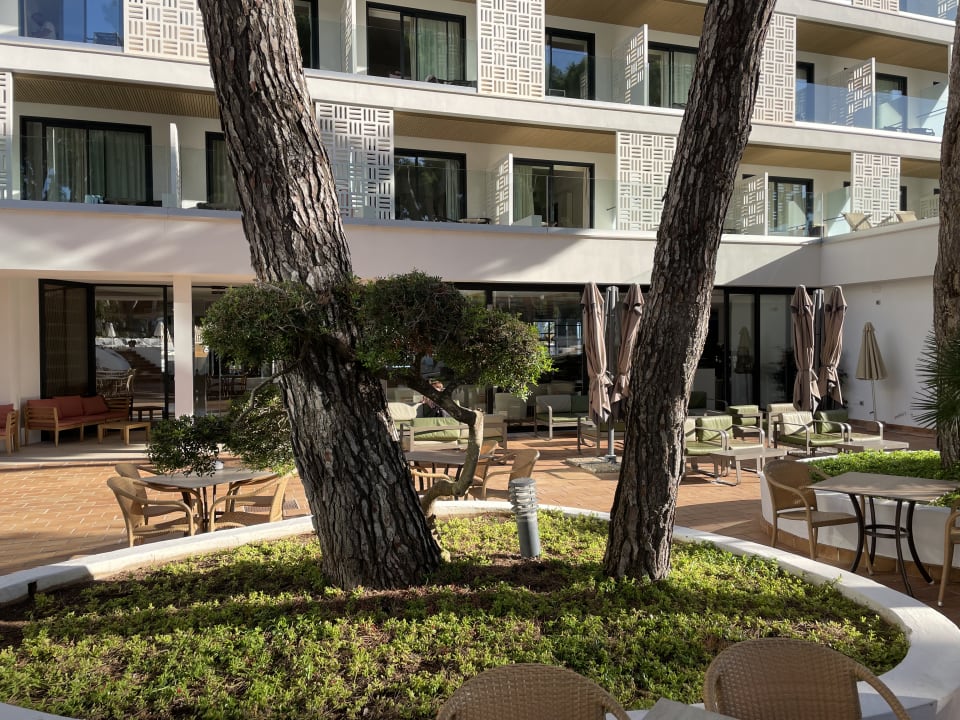 Gartenanlage Hotel & Spa S'Entrador Playa