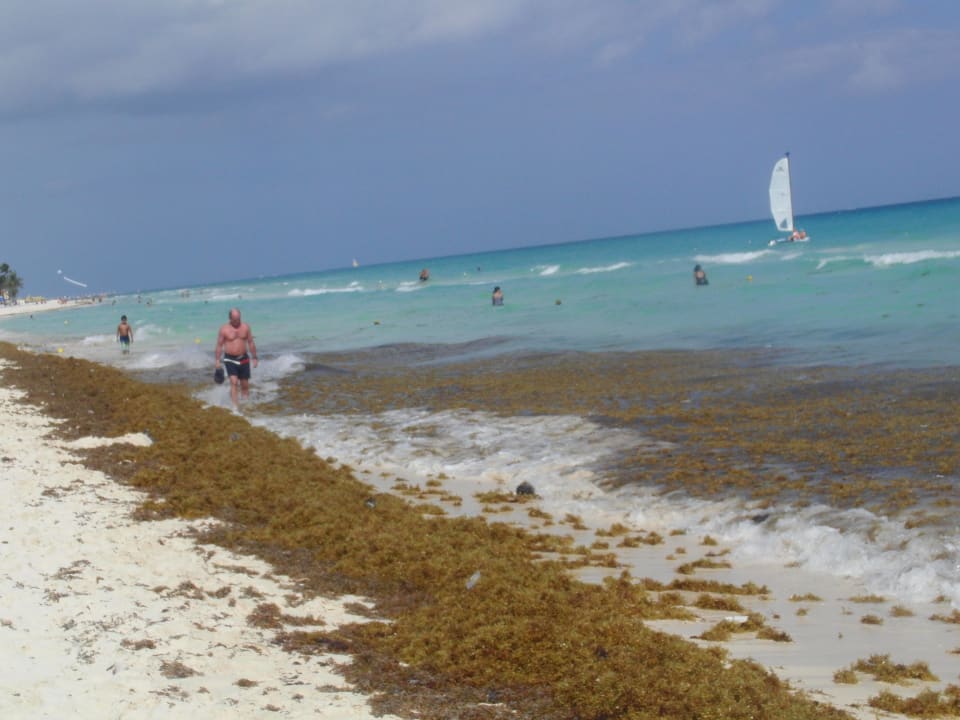 So sah der Strand nach starkem Wind aus Hotel Riu Palace Riviera Maya