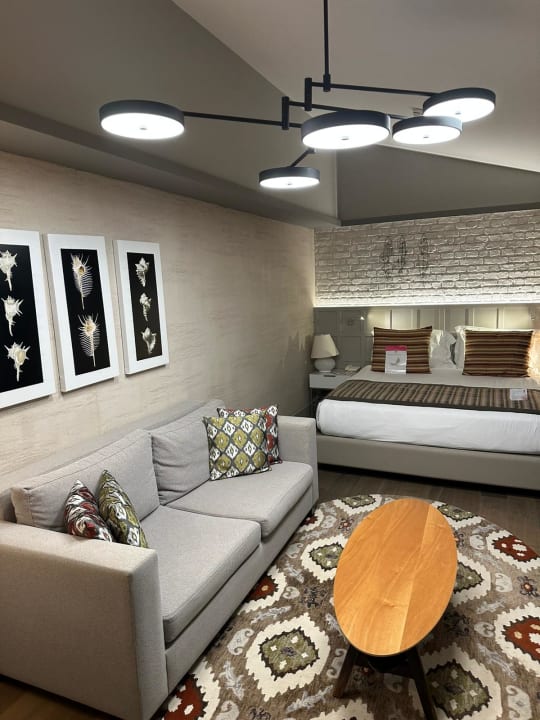Zimmer Acanthus Cennet Barut Collection