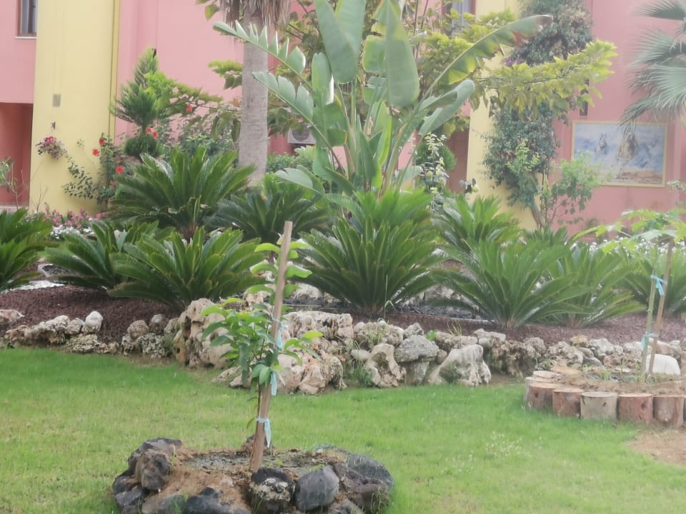 Außenansicht VONRESORT Golden Beach