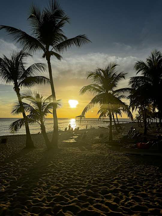 Strand Hotel Viva Dominicus Palace by Wyndham-All Inclusive Resort