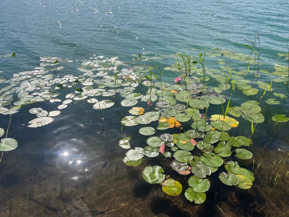 Strand Hotel Johst am See Bollersdorf