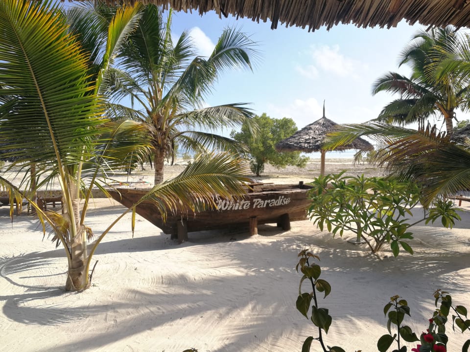 Strand White Paradise Zanzibar