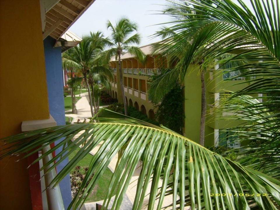 Blick aus Haus 2  Royalton Splash Punta Cana