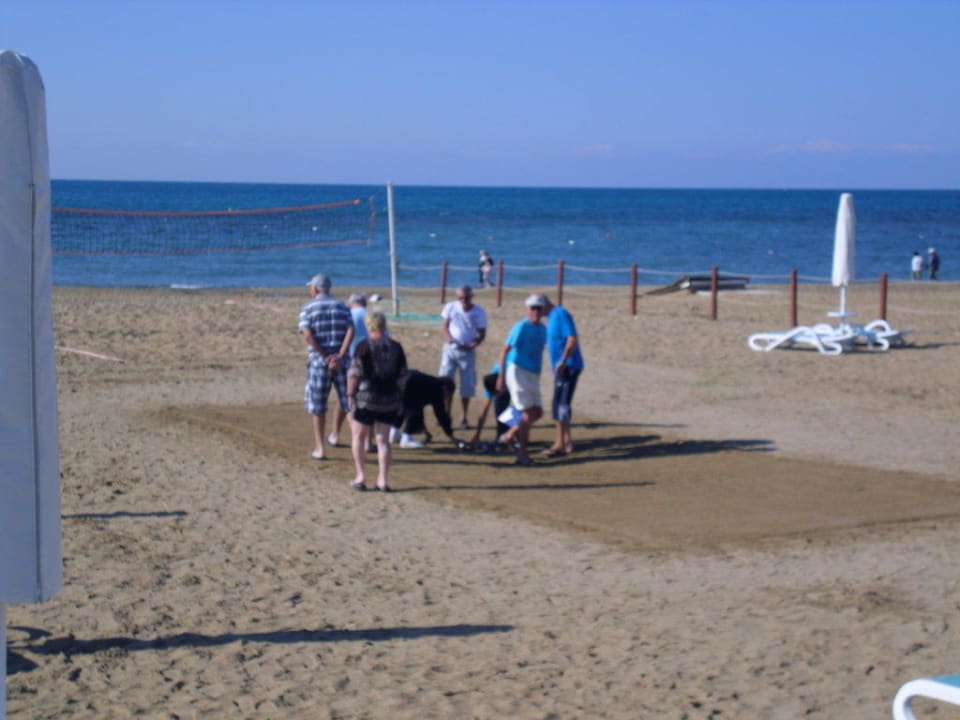 Sentido PALOMA Perissia