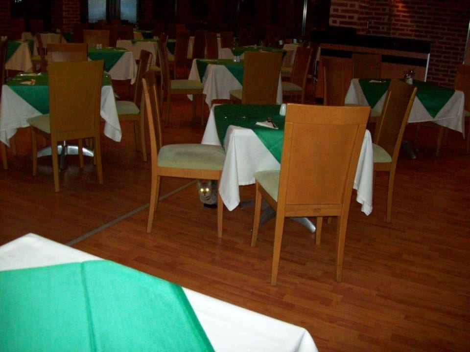 Katzen zum Essen Limak Limra Hotel & Resort