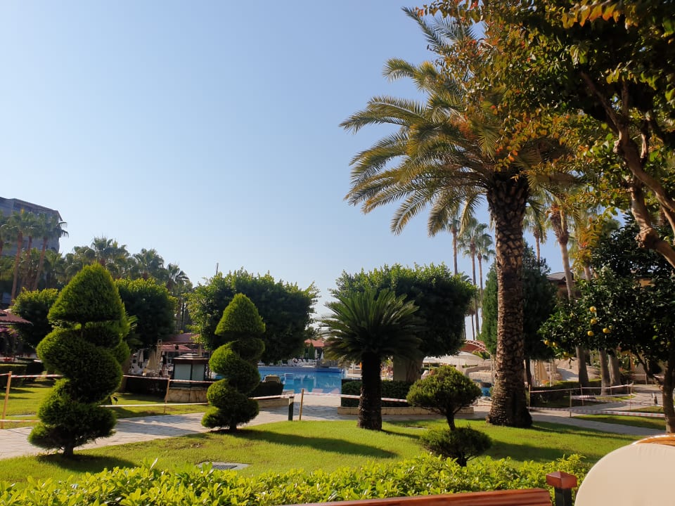 Gartenanlage Miramare Queen Hotel