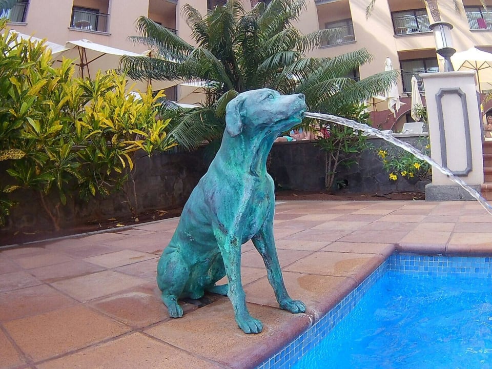 Am Ruhepool Lopesan Costa Meloneras, Resort & Spa