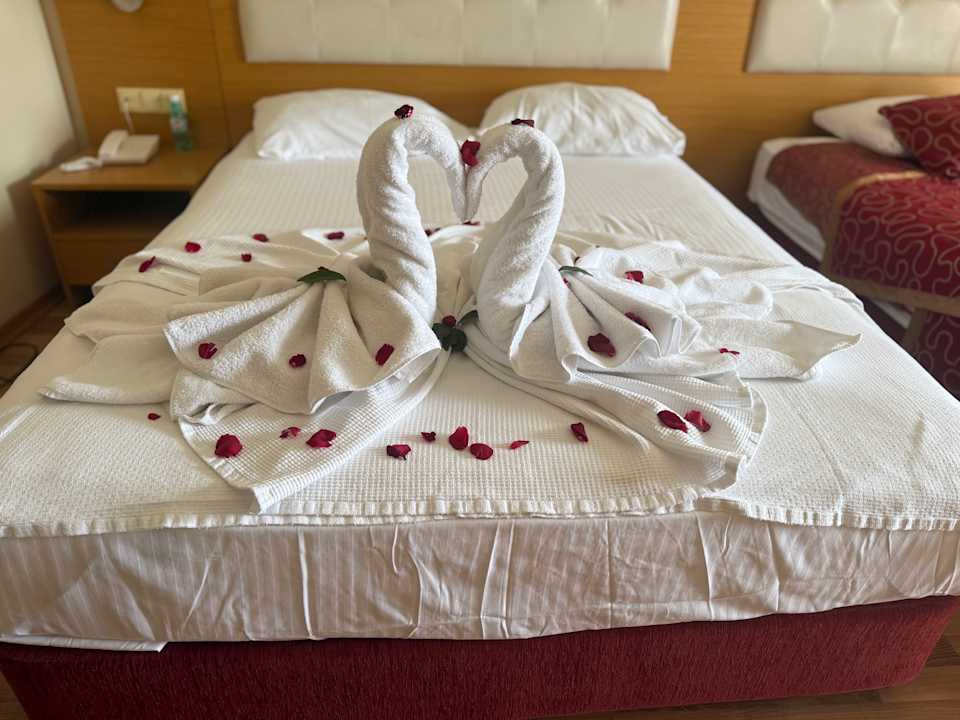 Zimmer Alaiye Resort & Spa