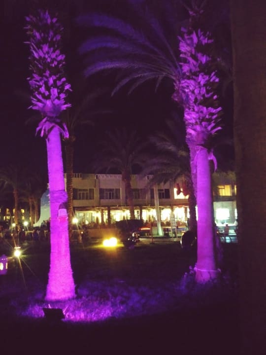 Gartenanlage Aladdin Beach Resort