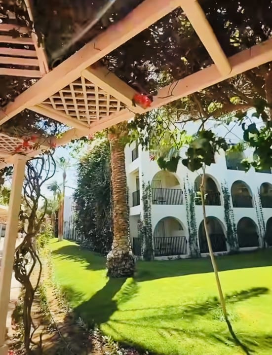 Gartenanlage Desert Rose