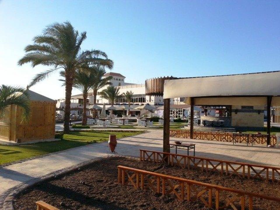 Aktivitäten  Pickalbatros Dana Beach Resort - Hurghada