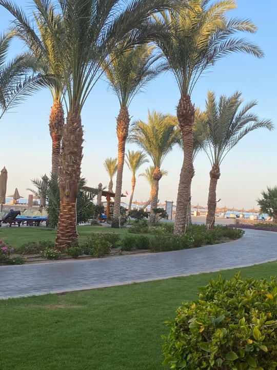 Außenansicht Novotel Marsa Alam Beach Resort