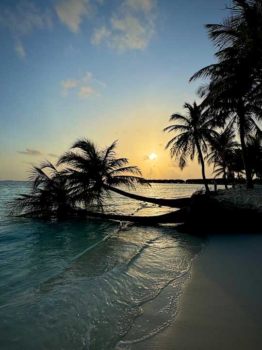 Strand Vilamendhoo Island Resort & Spa