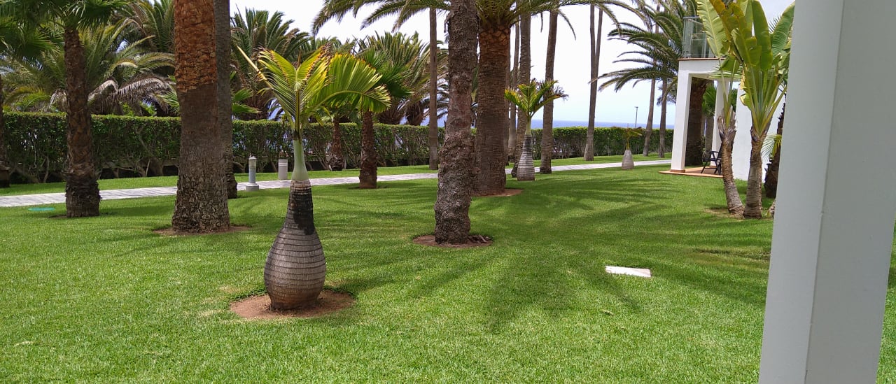 Ausblick Hotel Riu Palace Meloneras