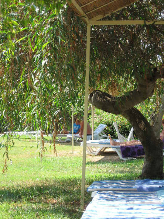 Liegewiese Asteria Family Resort Side