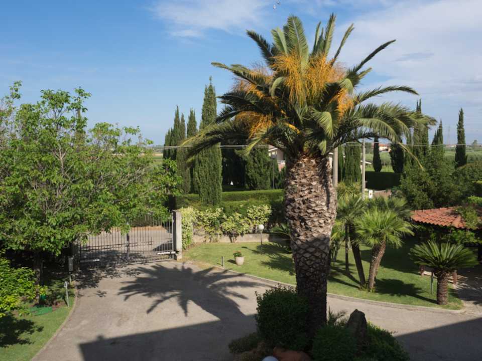 Gartenanlage Agriturismo Masseria Feudo