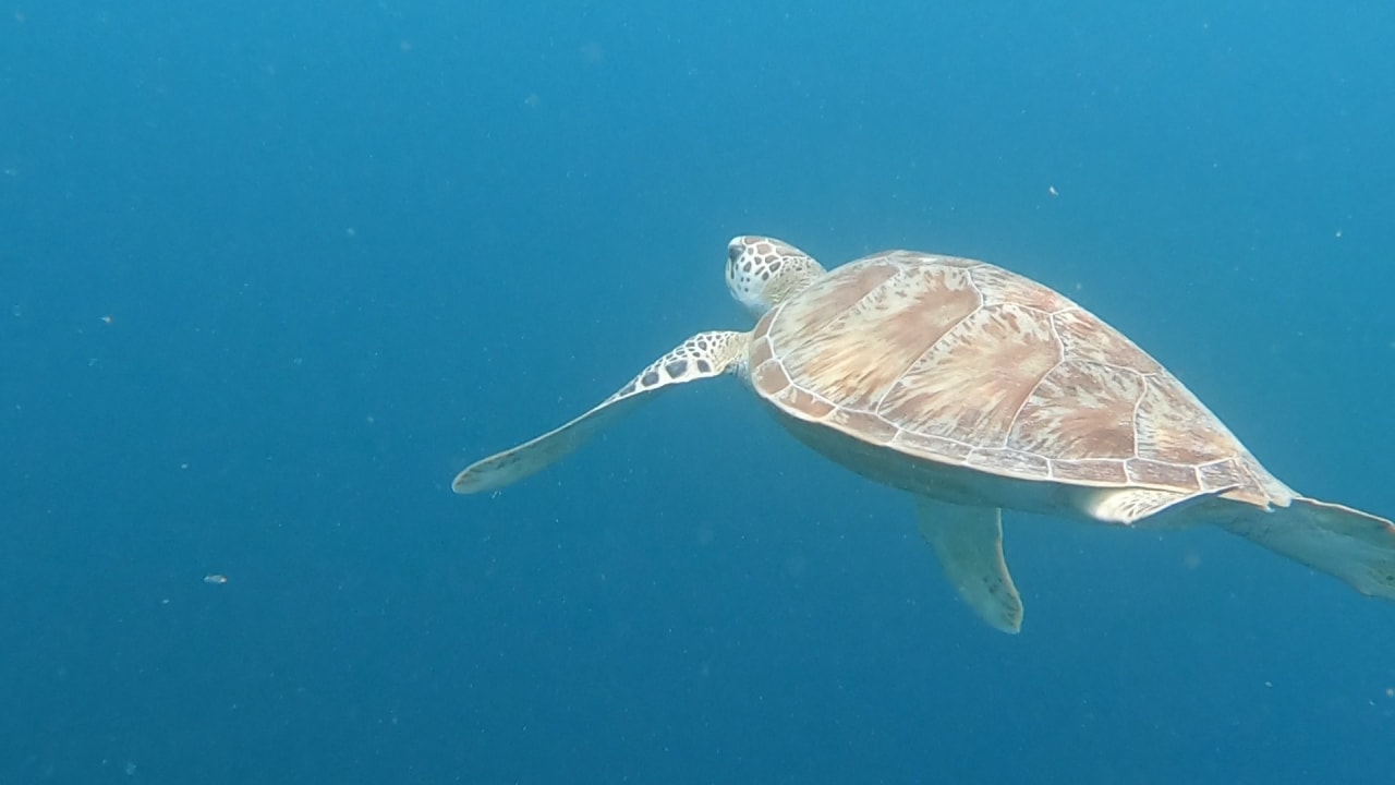 Sport & Freizeit NH Collection Maldives Reethi Resort