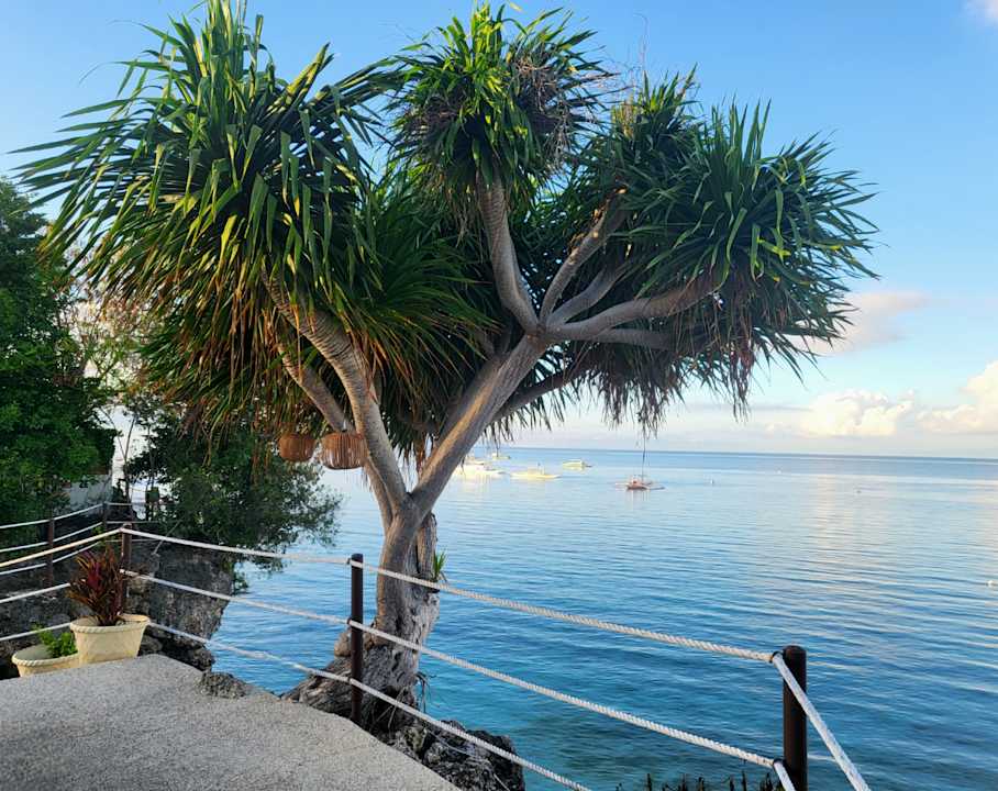Außenansicht Cebu Seaview Dive Resort