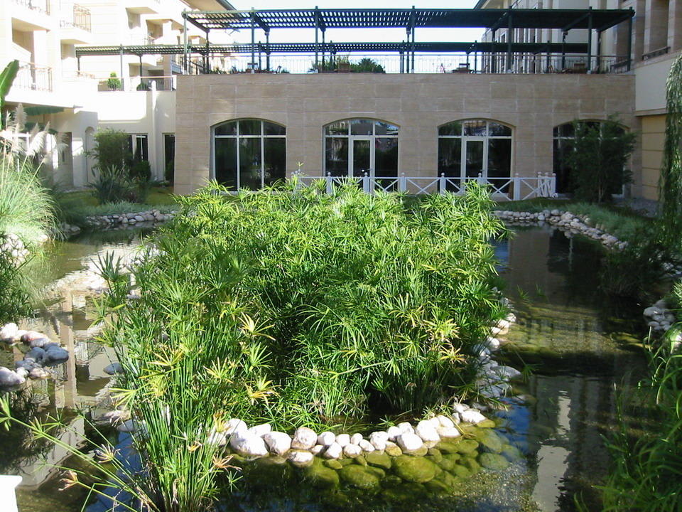 Gartenanlage mit Fisch-Teich Dobedan Exclusive Hotel And Spa